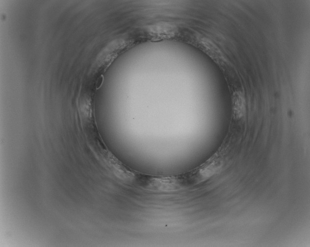 X0000075830713200609221640