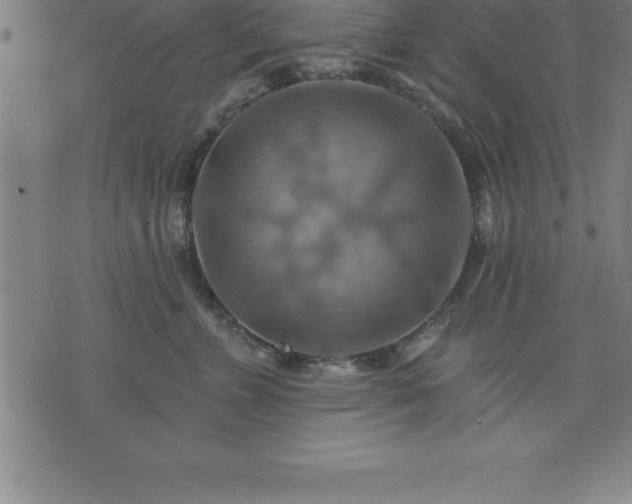 X0000075830715200609221640