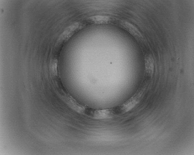 X0000075830717200609221640