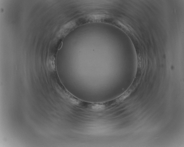 X0000075830718200609221640