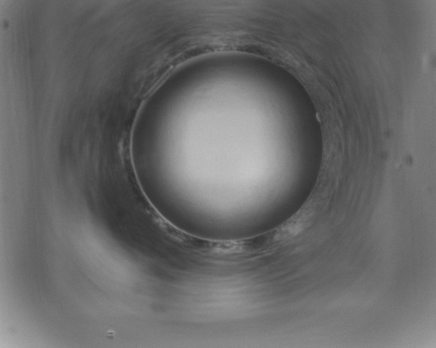 X0000075830720200609221640