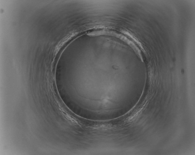 X0000075830721200609221639