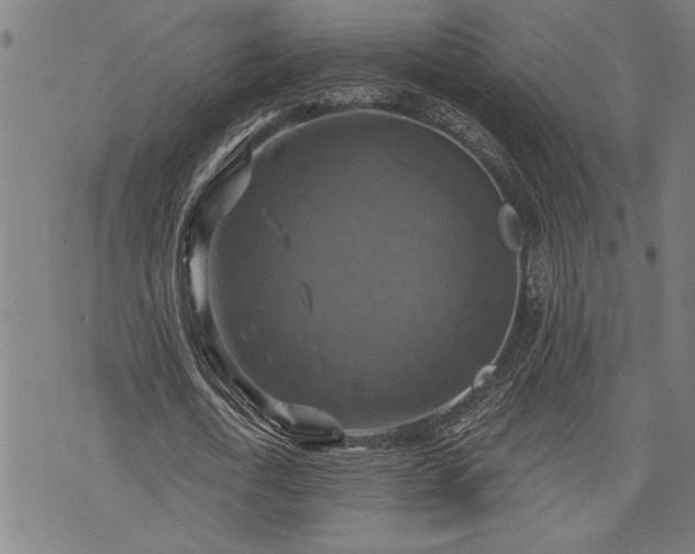 X0000075830722200609221639