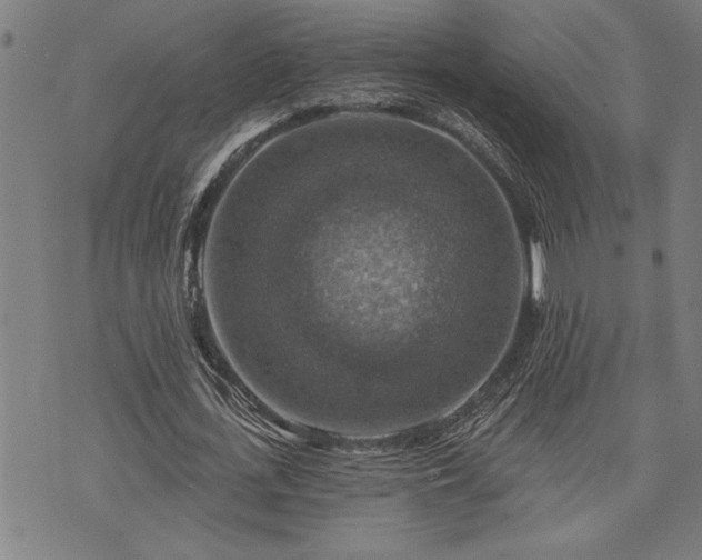 X0000075830723200609221639