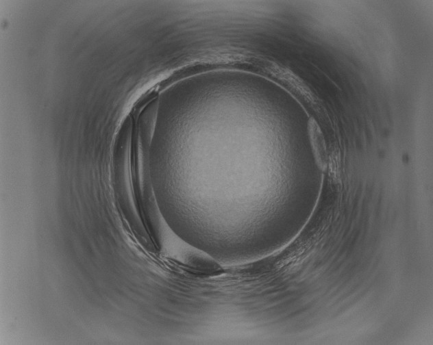 X0000075830724200609221639