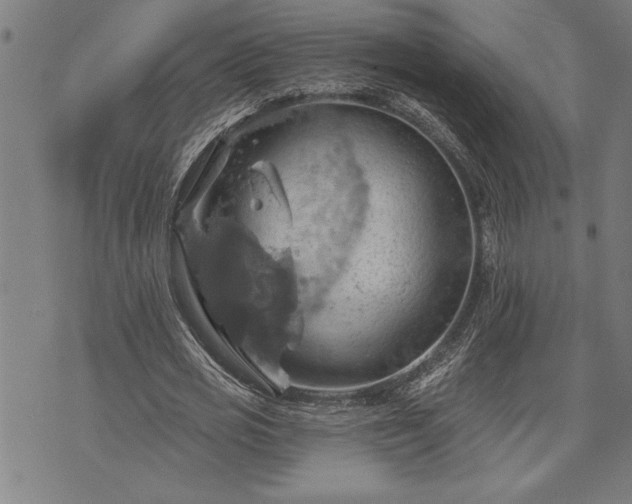 X0000075830725200609221639