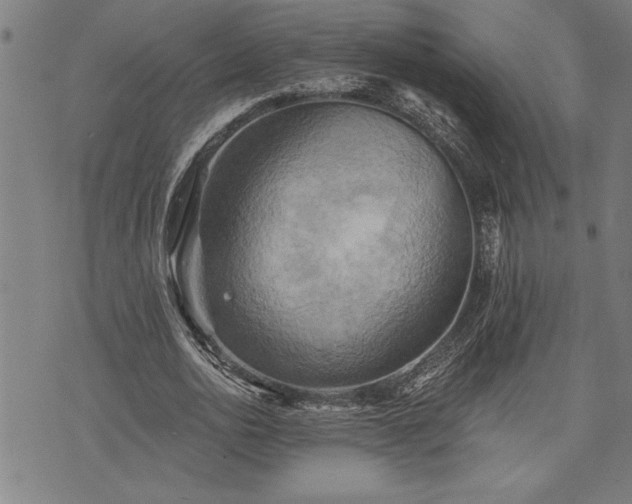 X0000075830726200609221639