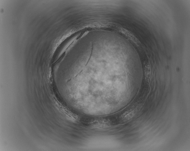 X0000075830727200609221639