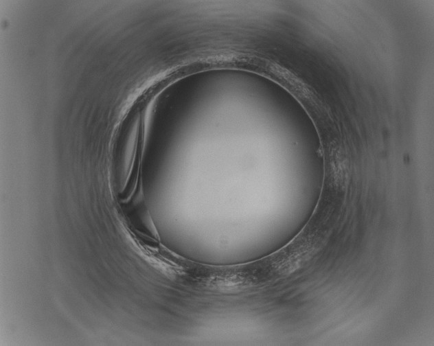 X0000075830728200609221639