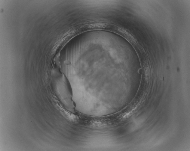 X0000075830729200609221639