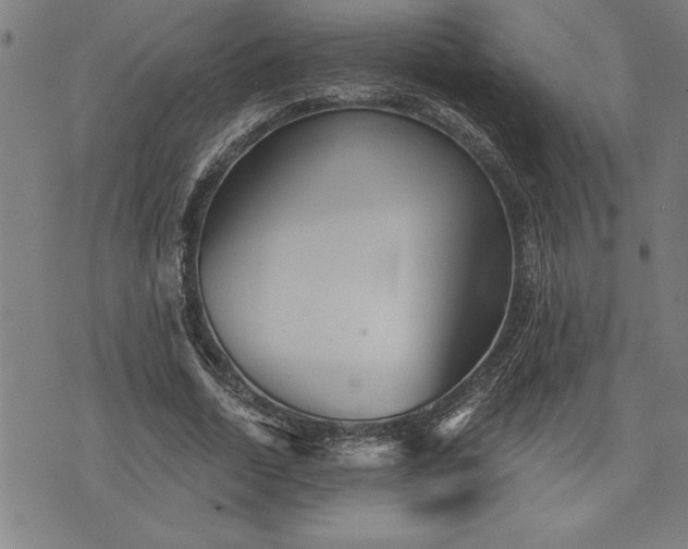 X0000075830730200609221639