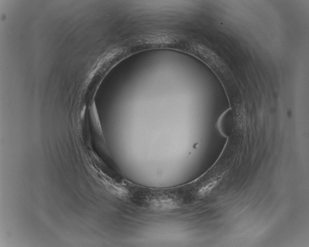 X0000075830731200609221639