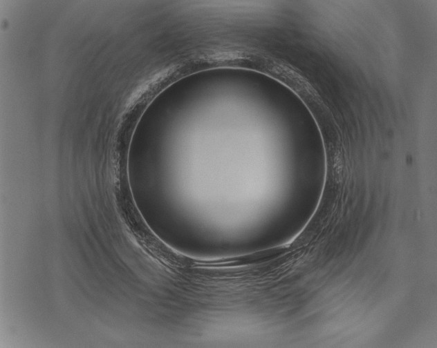 X0000075830732200609221639