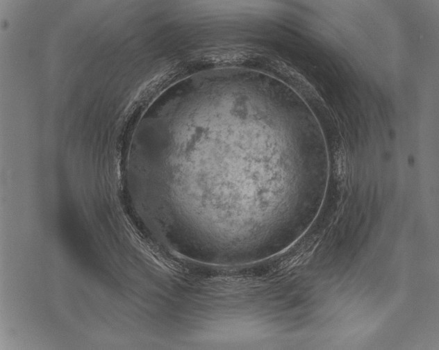 X0000075830733200609221639