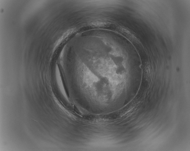 X0000075830734200609221639