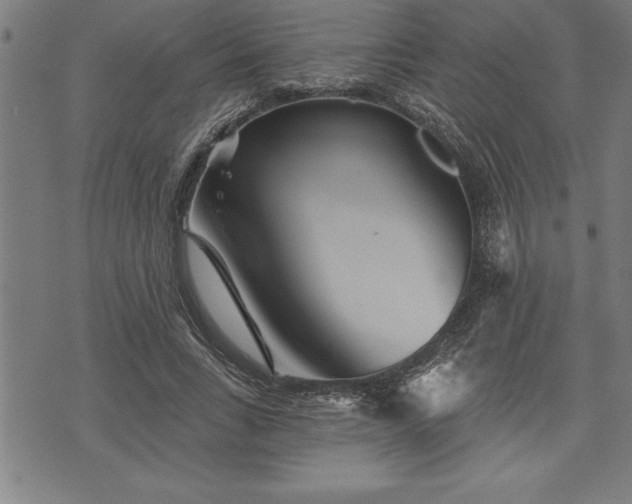 X0000075830735200609221639