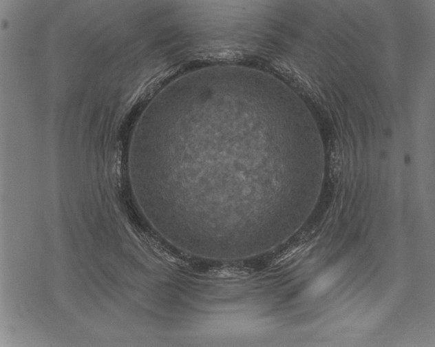 X0000075830739200609221639