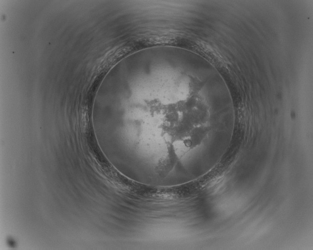 X0000075830741200609221639