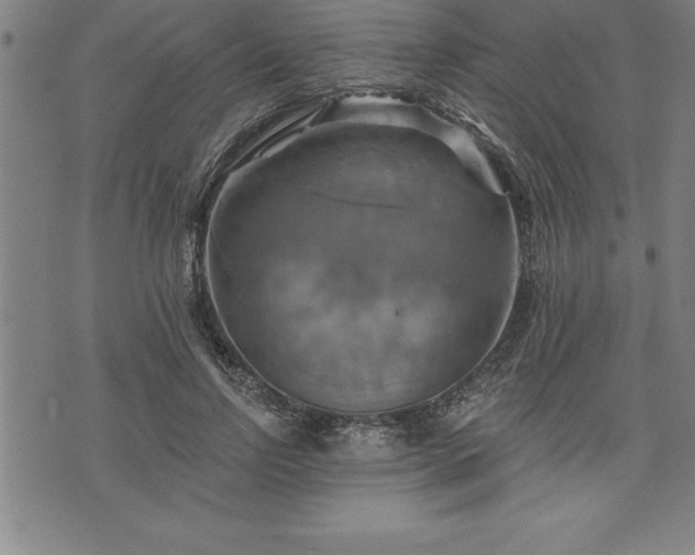 X0000075830742200609221639