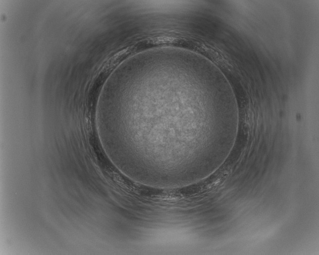 X0000075830743200609221639