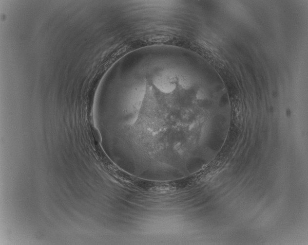 X0000075830745200609221639