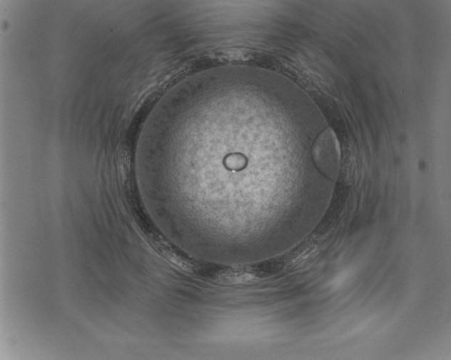 X0000075830747200609221639