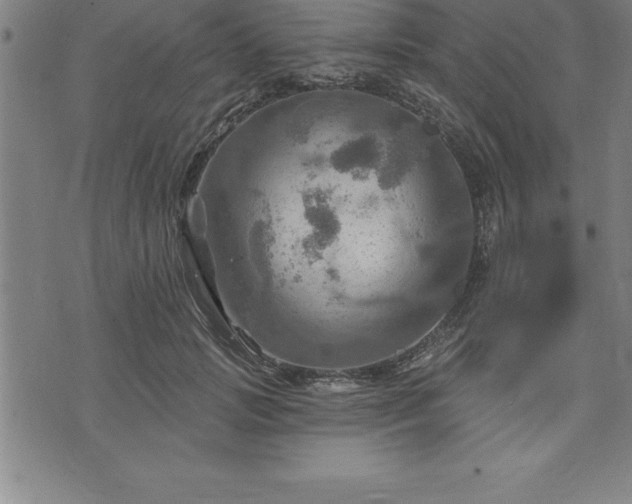 X0000075830749200609221639