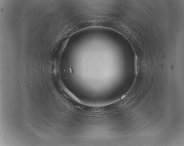 X0000075830750200609221639