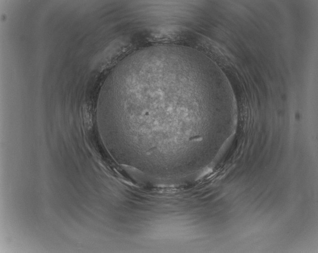 X0000075830751200609221639