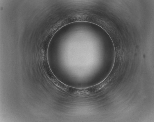 X0000075830752200609221639