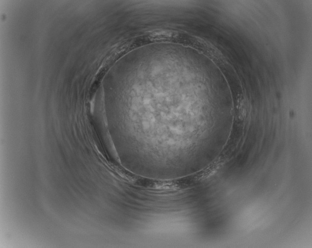 X0000075830753200609221639