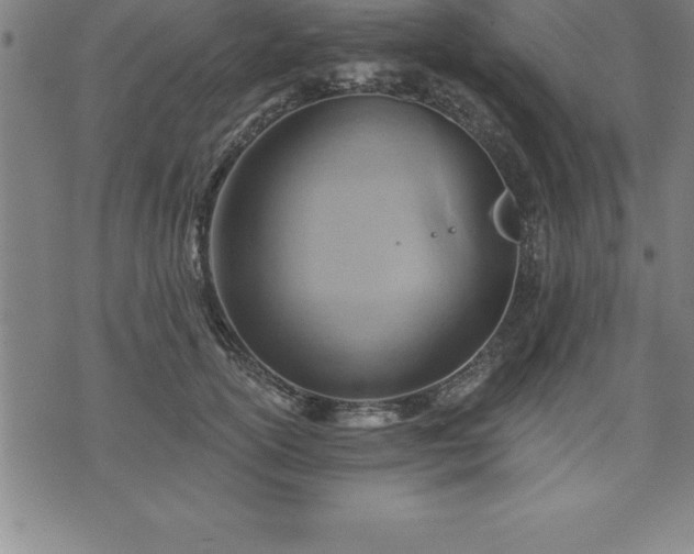 X0000075830754200609221639