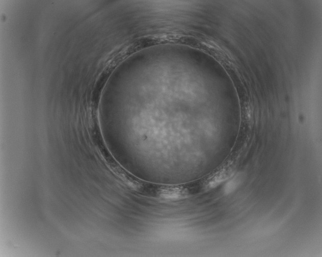 X0000075830757200609221640