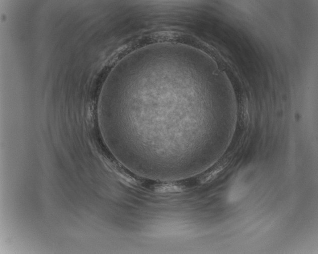 X0000075830759200609221640