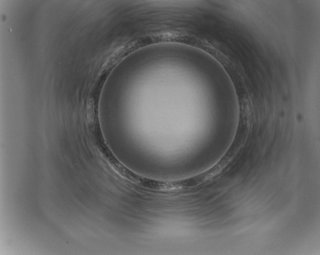 X0000075830760200609221640