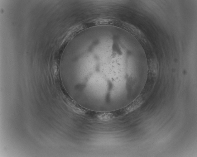 X0000075830761200609221640