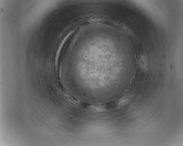 X0000075830763200609221640