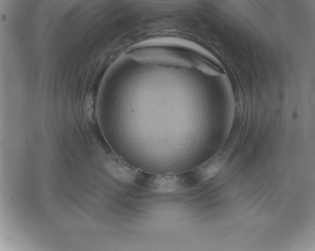 X0000075830767200609221640