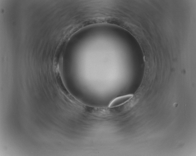 X0000075830768200609221640