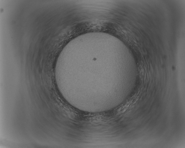 X0000075830769200609221639