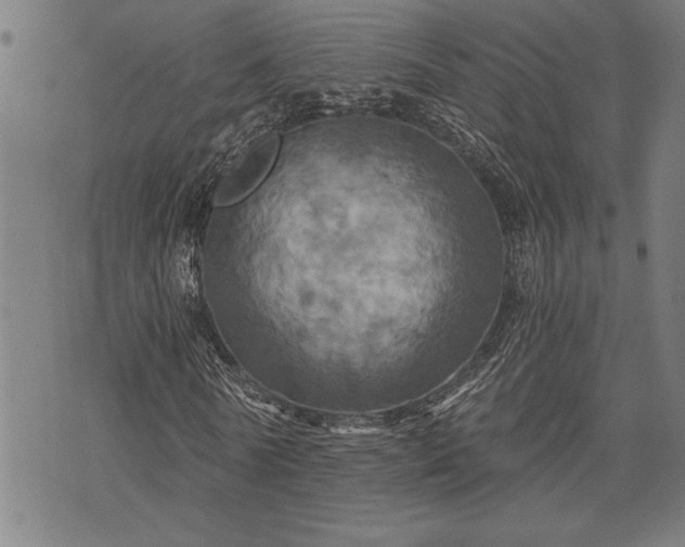 X0000075830770200609221639