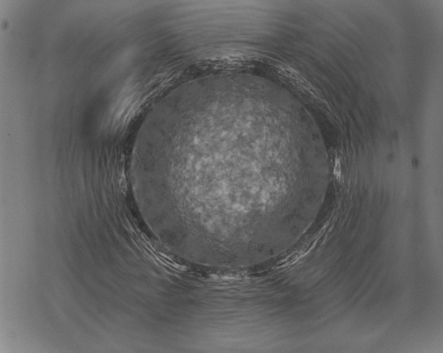 X0000075830771200609221639