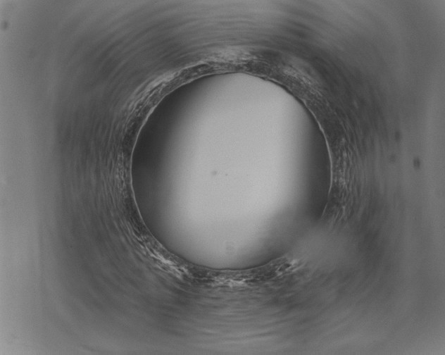 X0000075830773200609221639