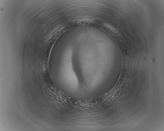 X0000075830774200609221639