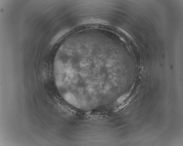 X0000075830775200609221639