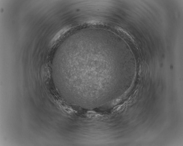 X0000075830776200609221639