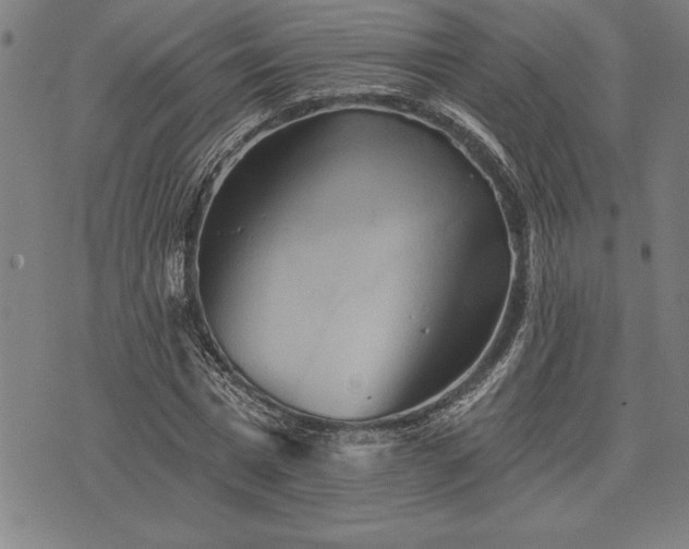 X0000075830777200609221639