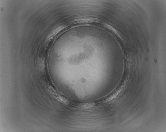 X0000075830778200609221639