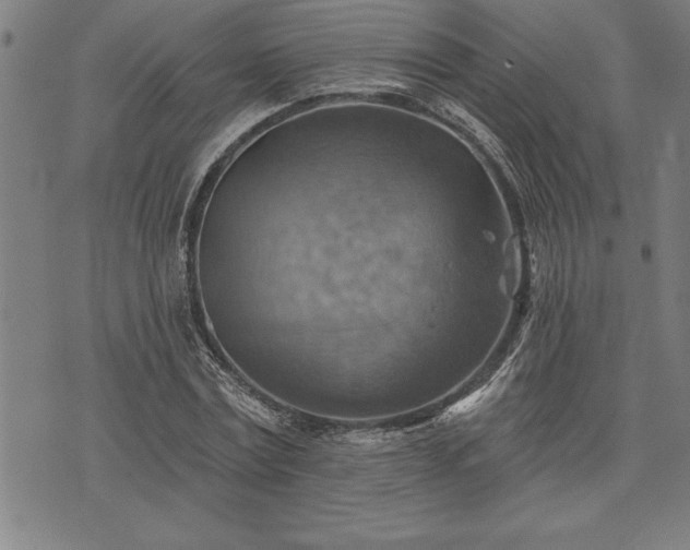 X0000075830779200609221639