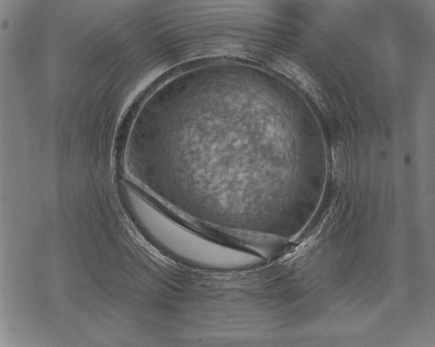 X0000075830780200609221639